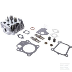 Briggs & Stratton 84003960 Culasse