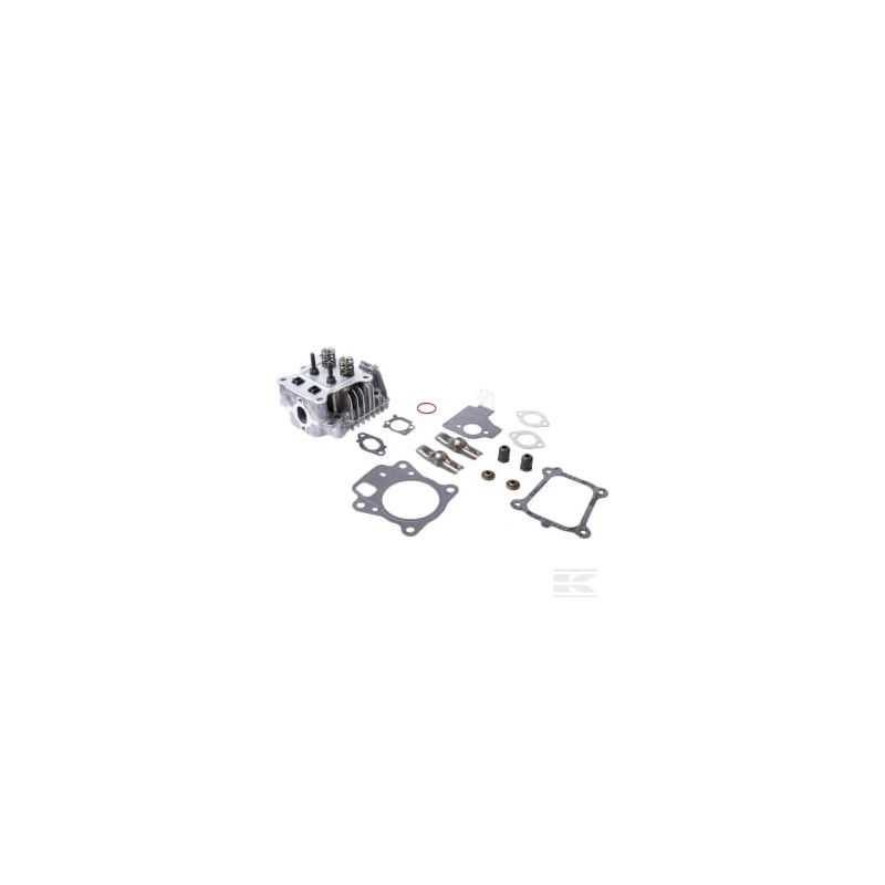 Briggs & Stratton 84003960 Culasse
