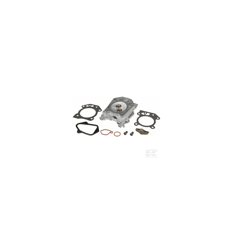 Briggs & Stratton 84006584 Culasse