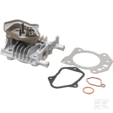 Briggs & Stratton 84006590 Culasse