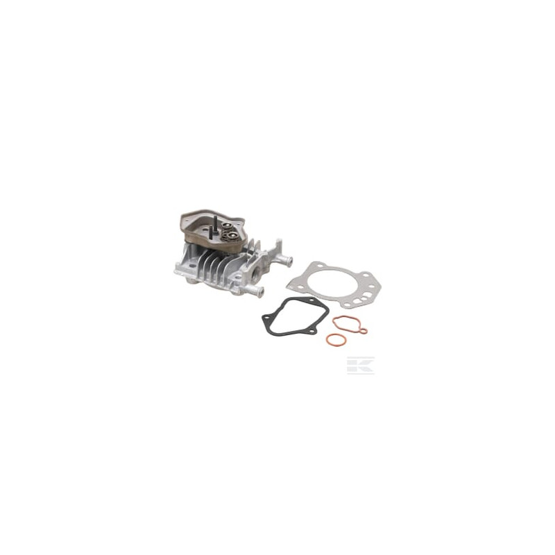 Briggs & Stratton 84006590 Culasse