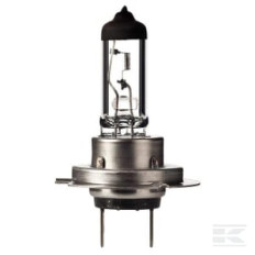 Kramp B12067KLL Ampoule 12 V 55 W PX26d H7 Longue durée de vie (boîte de 10 pièces)