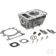 Briggs & Stratton 591750 Culasse