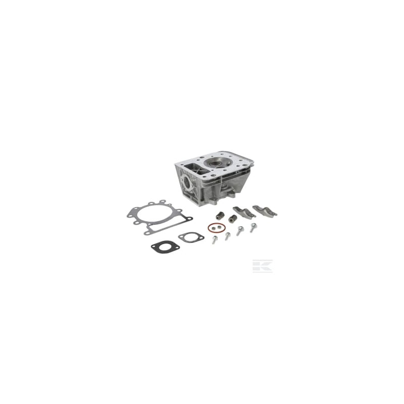 Briggs & Stratton 591750 Culasse