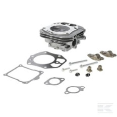 Briggs & Stratton 84010935 Culasse