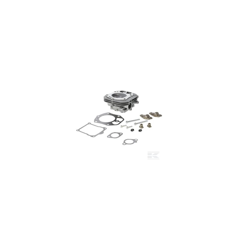 Briggs & Stratton 84010935 Culasse