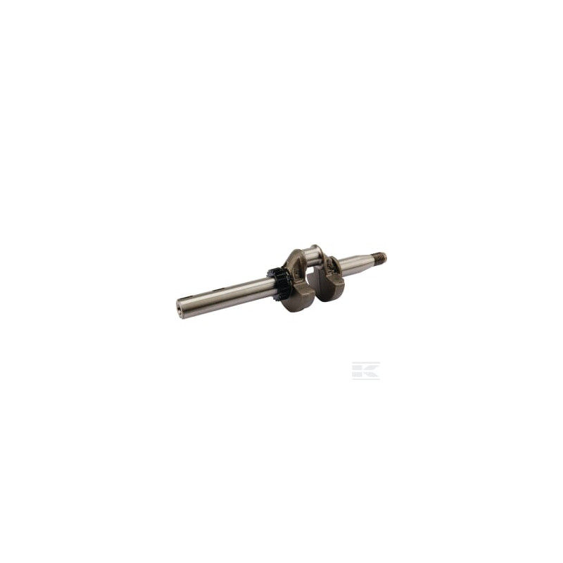Briggs & Stratton 590538 Vilebrequin avec roulements