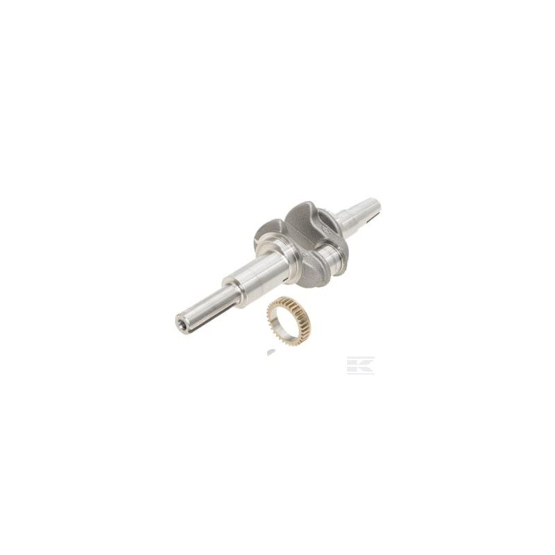 Briggs & Stratton 593417 Vilebrequin