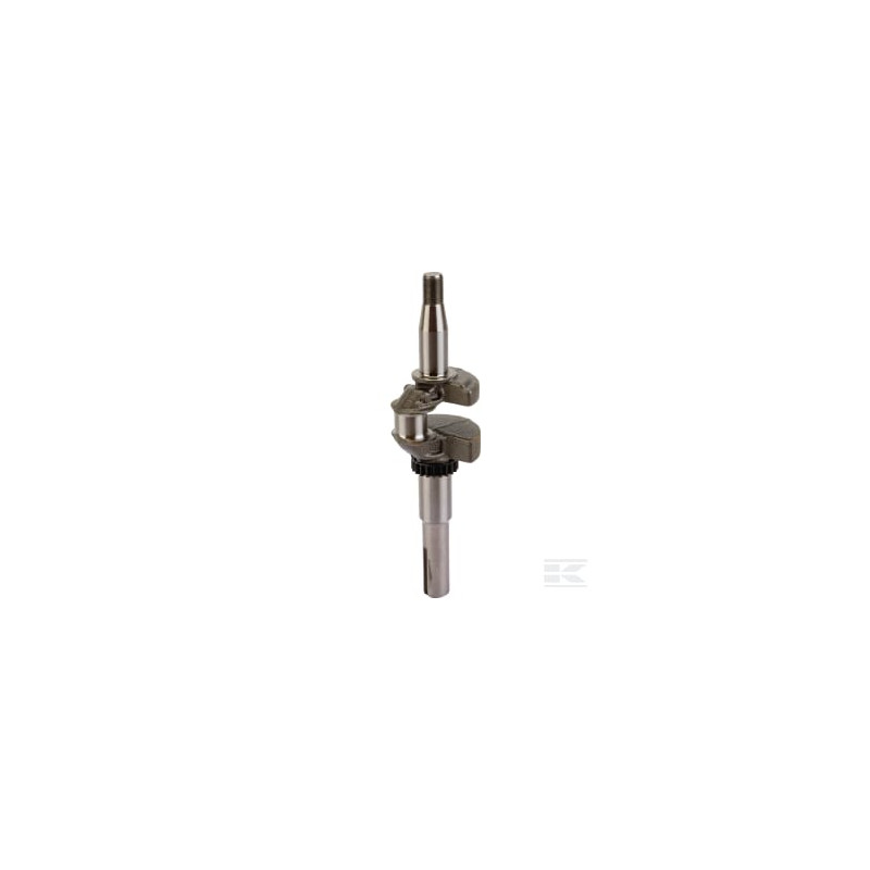 Briggs & Stratton 595024 Vilebrequin
