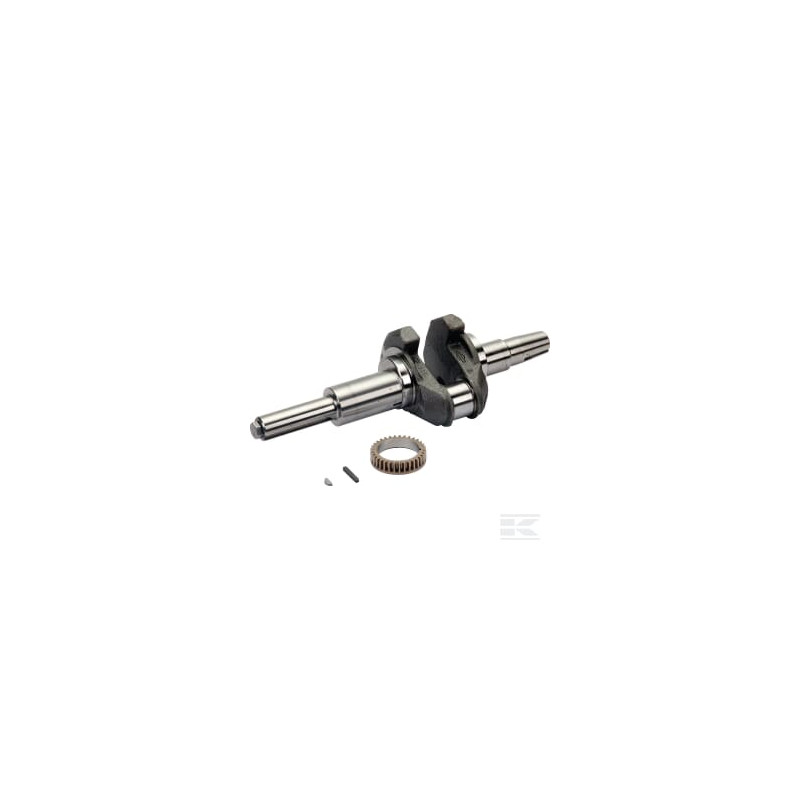 Briggs & Stratton 596006 Vilebrequin