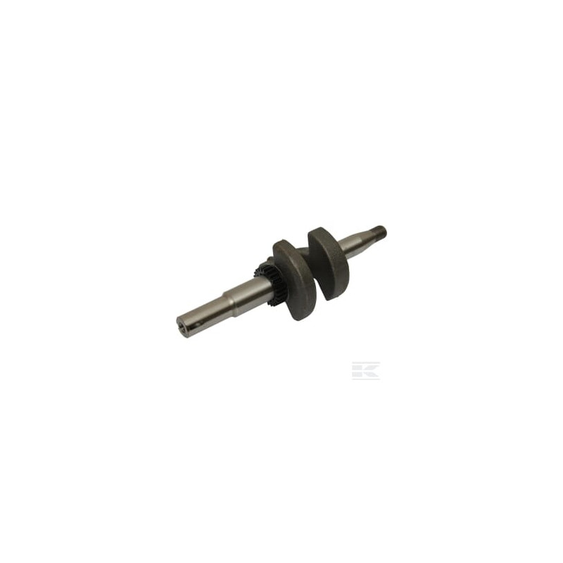 Briggs & Stratton 597407 Vilebrequin