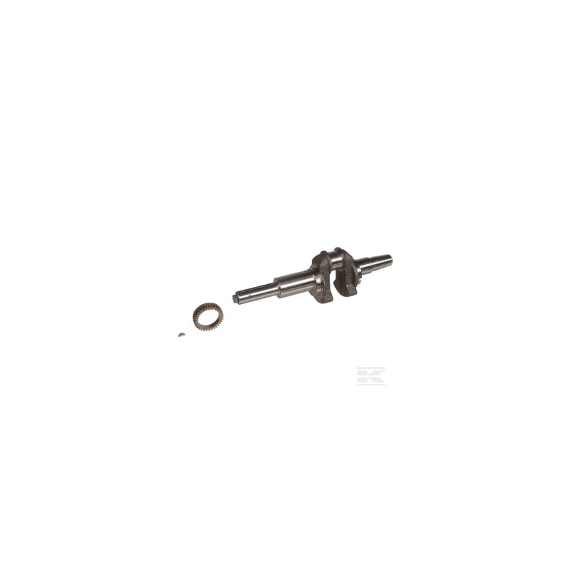 Briggs & Stratton 697390 Vilebrequin