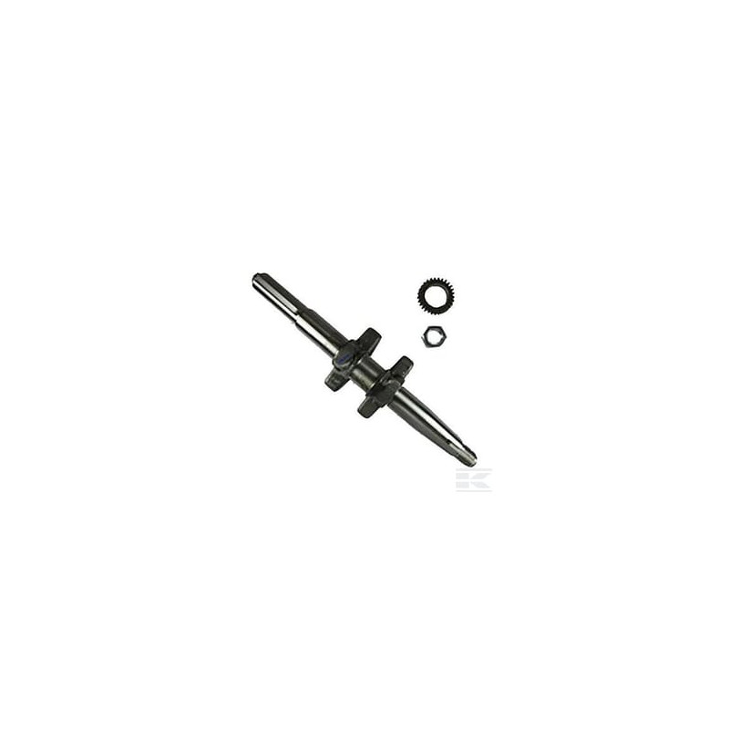 Briggs & Stratton 794716 Vilebrequin