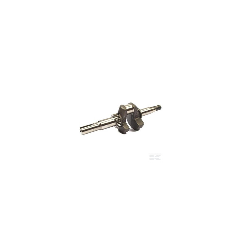 Briggs & Stratton 797019 Vilebrequin 22,2 x 62mm