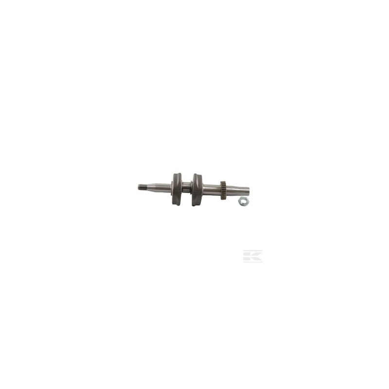Briggs & Stratton 797076 Vilebrequin