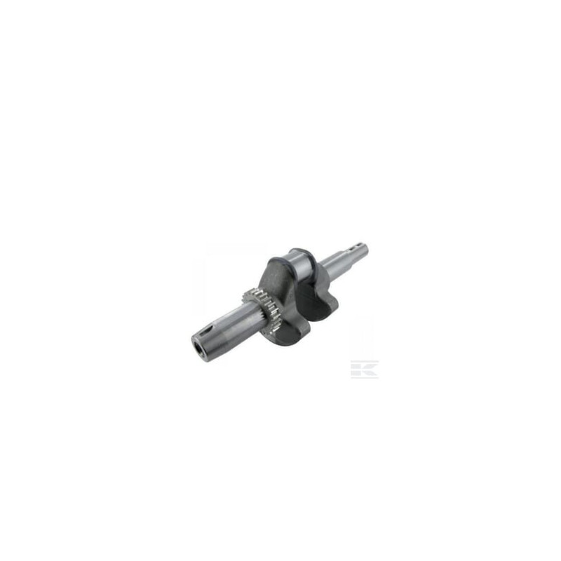 Briggs & Stratton 797079 Vilebrequin