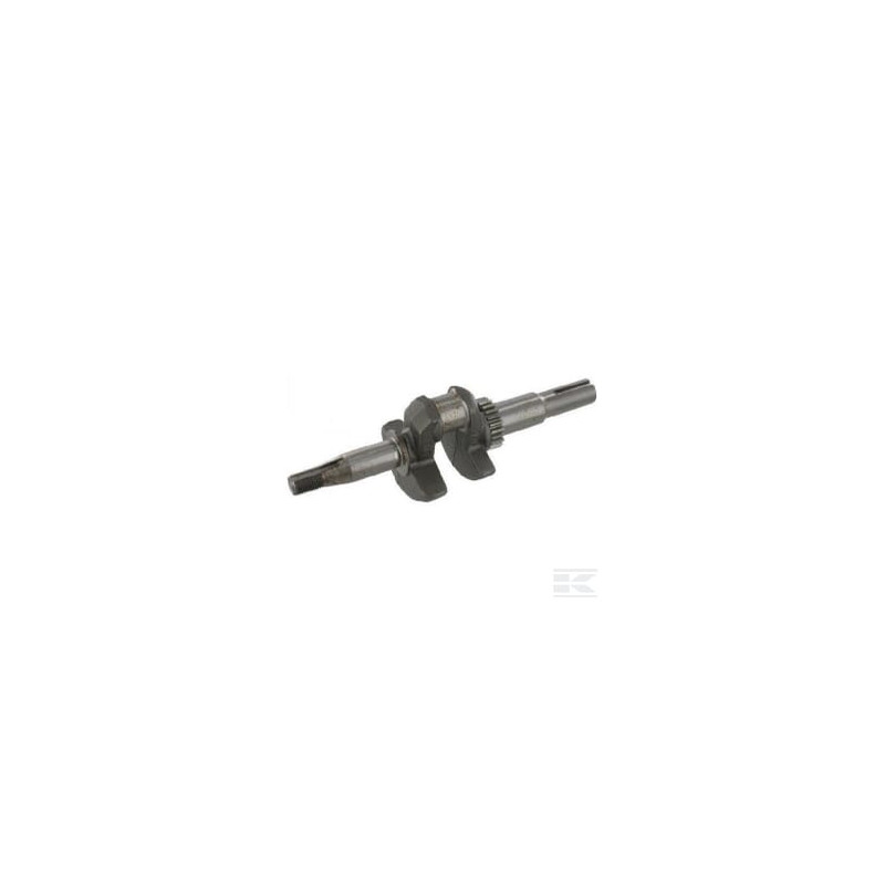 Briggs & Stratton 84004537 Vilebrequin