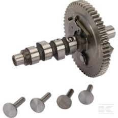 Briggs & Stratton 845649 Arbre a cames