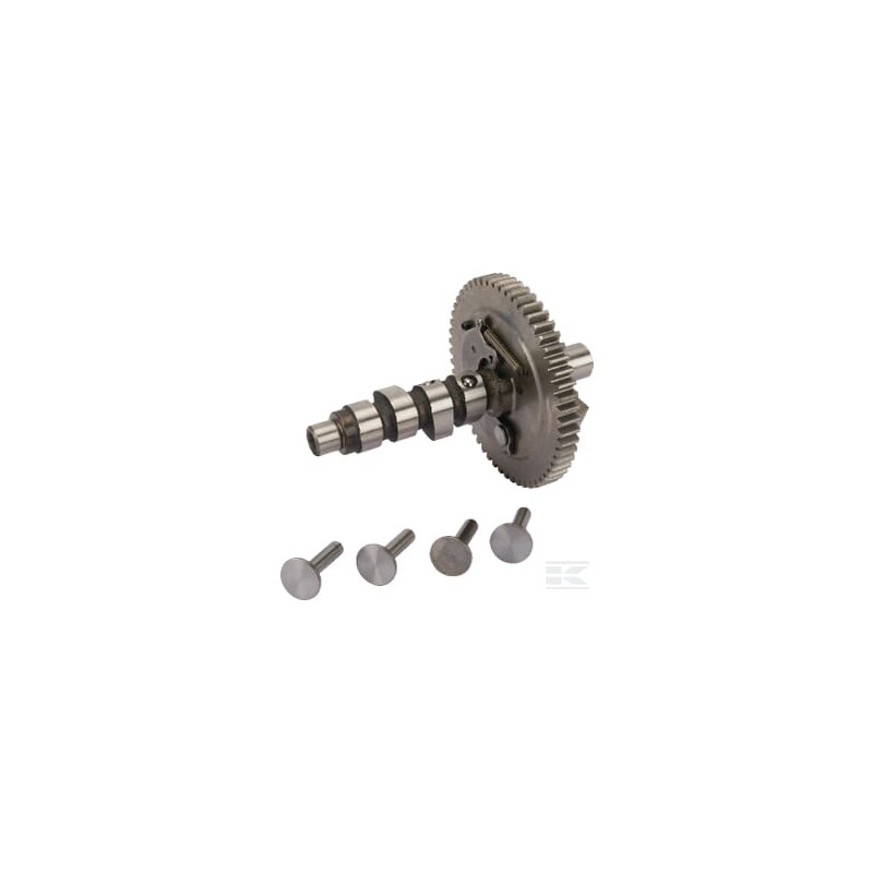 Briggs & Stratton 845649 Arbre a cames
