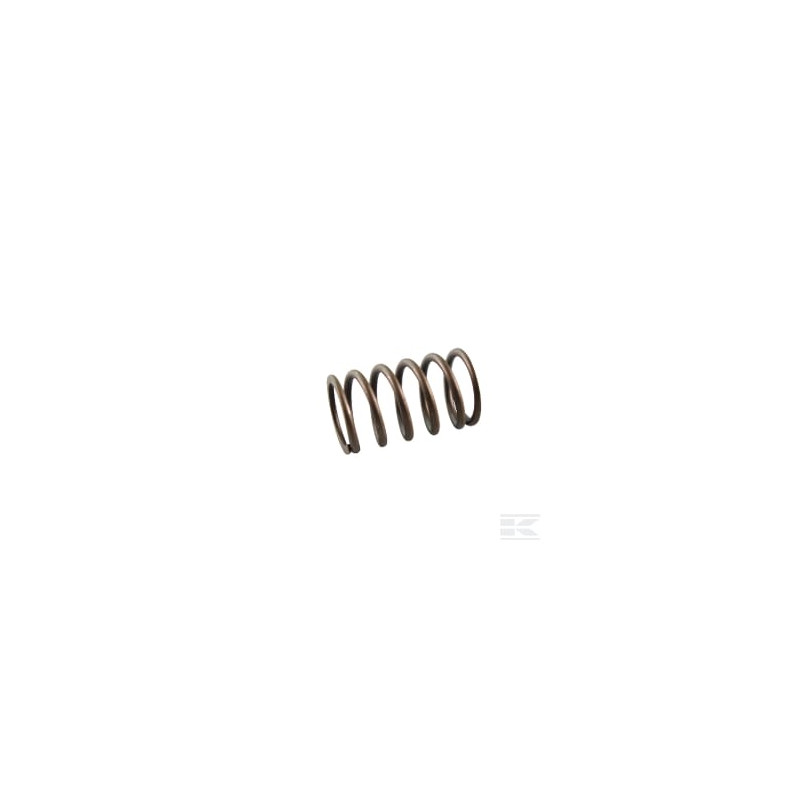 Briggs & Stratton 691605 Ressort de soupape