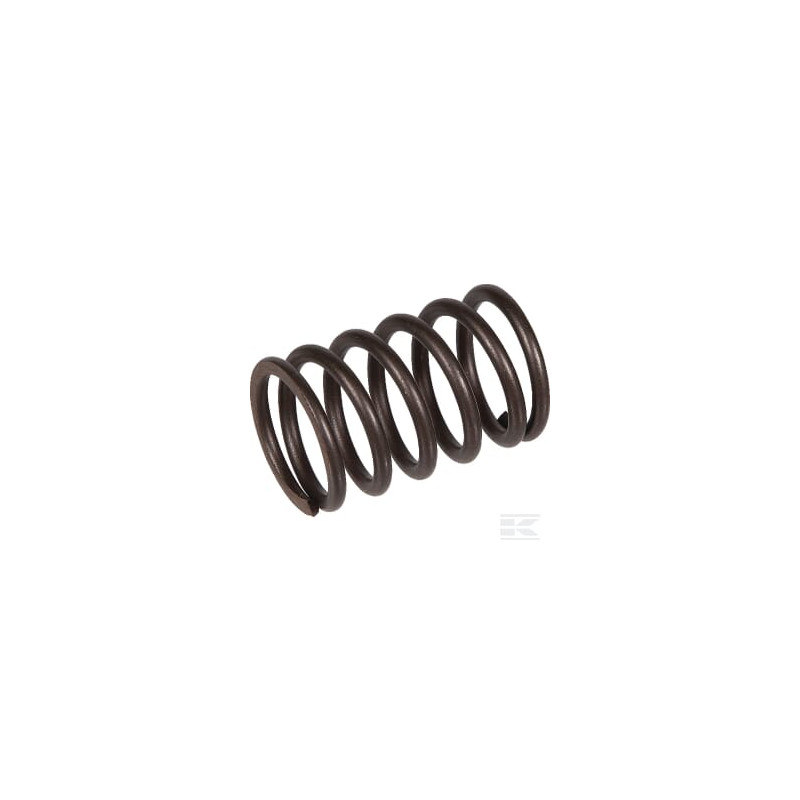 Briggs & Stratton 691279 Ressort de soupape