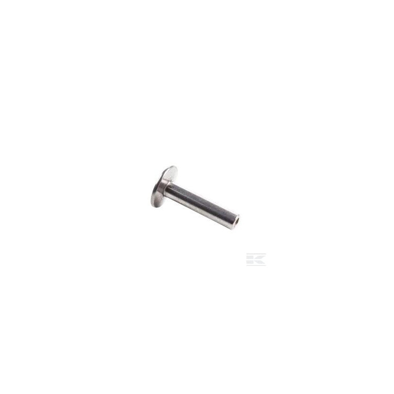 Briggs & Stratton 590514 Soupape conique