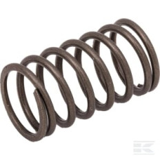Briggs & Stratton 691270 Ressort de soupape