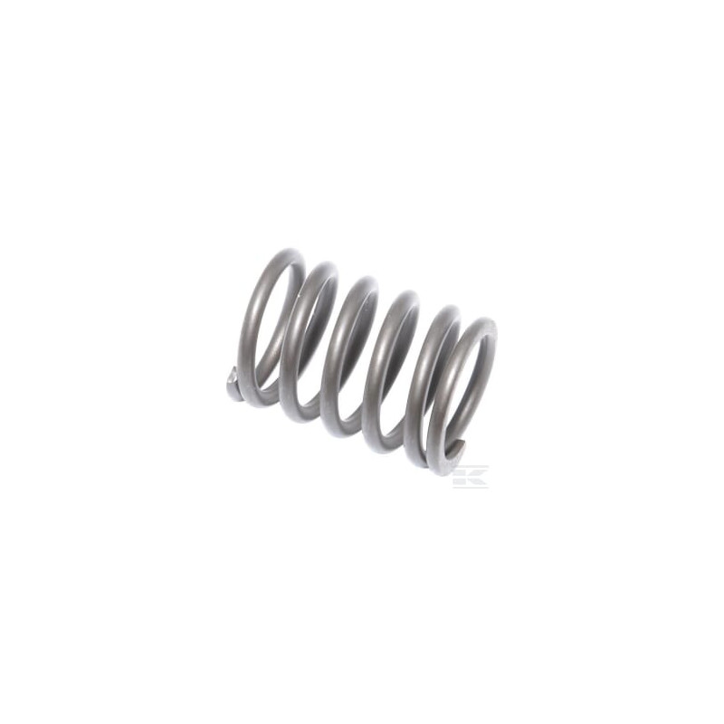 Briggs & Stratton 694865 Soupape à ressort