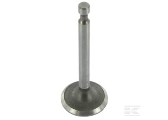 Briggs & Stratton 843379 Soupape