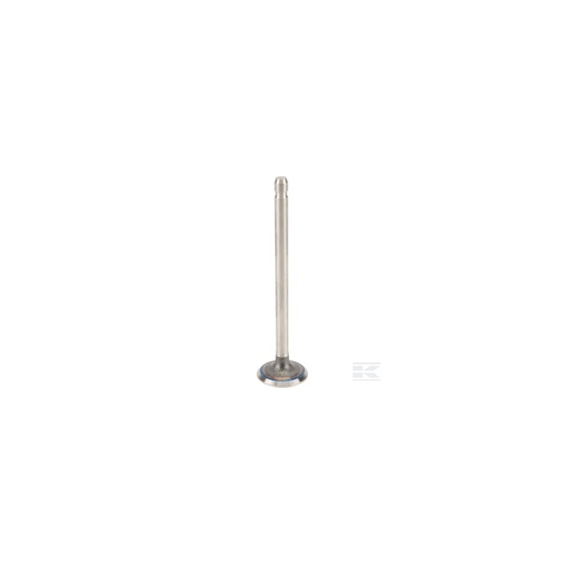 Briggs & Stratton 691796 Soupape d'échappement