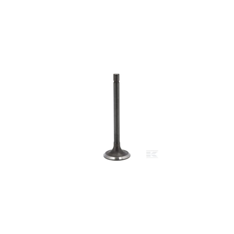 Briggs & Stratton 843752 Soupape d'échappement