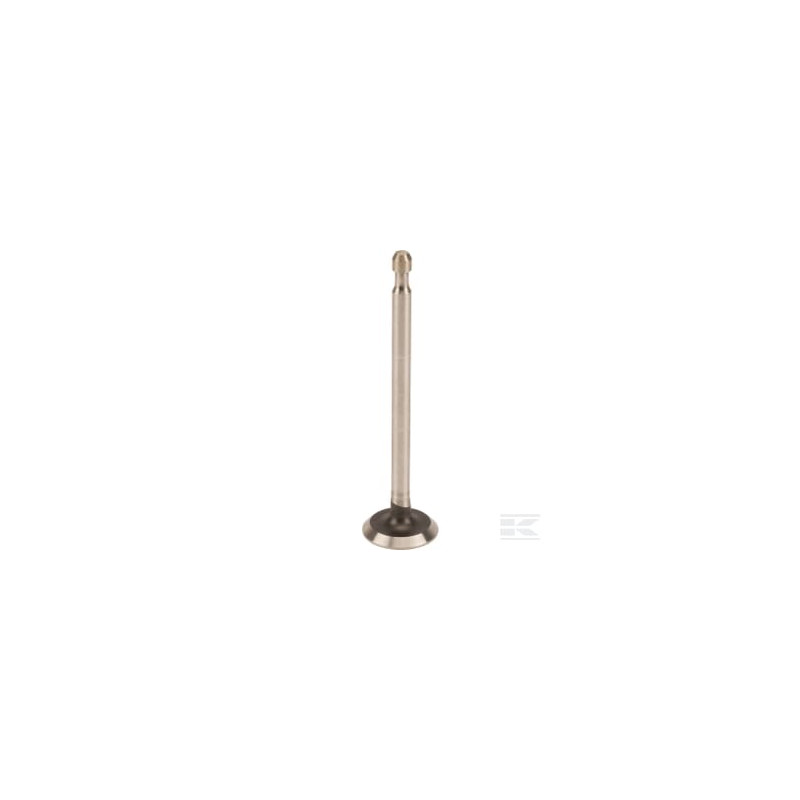 Briggs & Stratton 499642 Soupape d'échappement