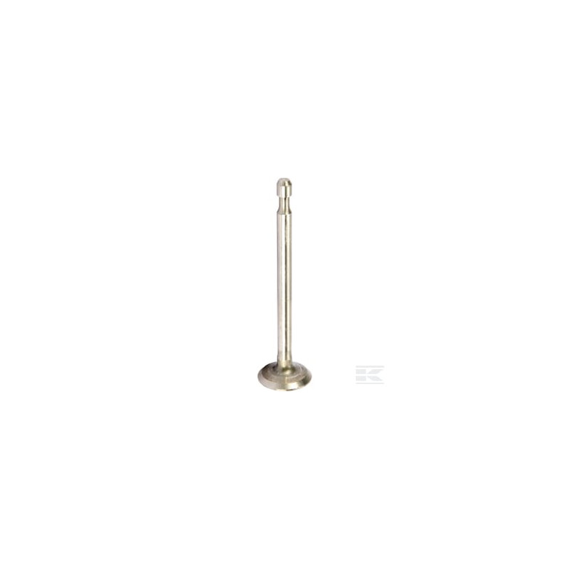 Briggs & Stratton 590394 Soupape d'échappement