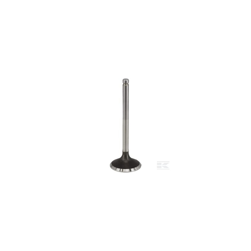 Briggs & Stratton 84012919 Soupape d'échappement