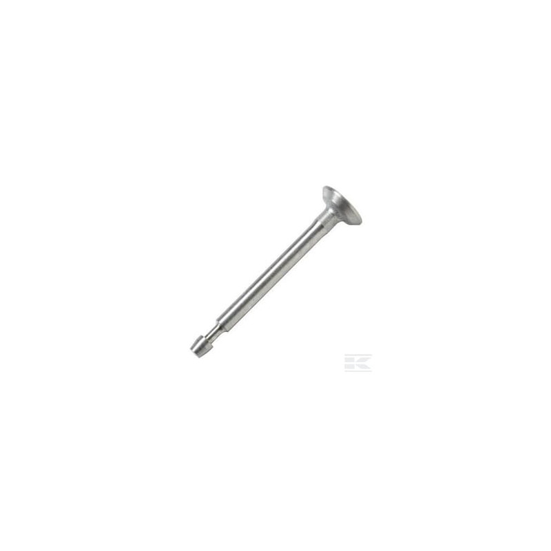 Briggs & Stratton 715445 Soupape d'échappement