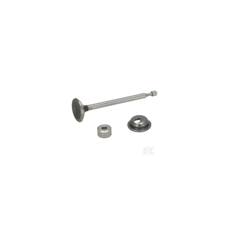 Briggs & Stratton 590531 Soupape d'échappement