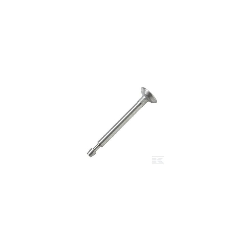 Briggs & Stratton 715002 Soupape echappement