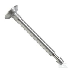 Briggs & Stratton 795443 Soupape d'admission