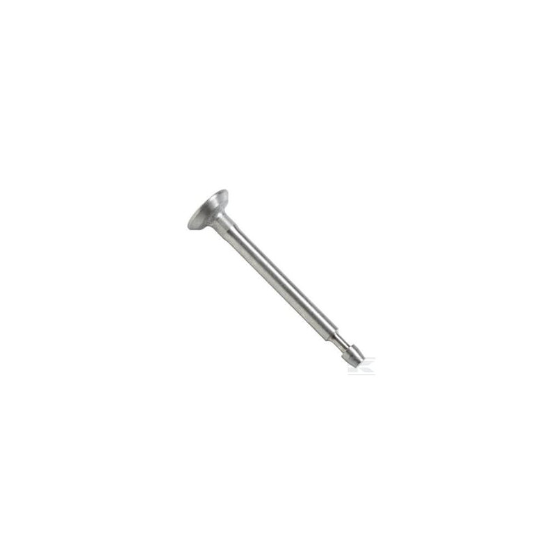 Briggs & Stratton 795443 Soupape d'admission