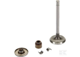 Briggs & Stratton 843751 Soupape admission