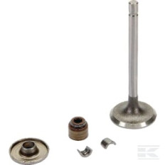 Briggs & Stratton 843751 Soupape admission