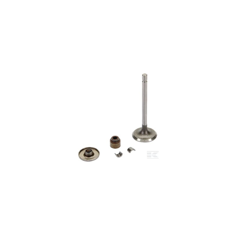 Briggs & Stratton 843751 Soupape admission