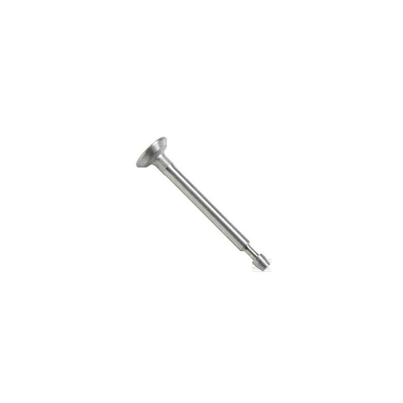 Briggs & Stratton 807680 Soupape d'admission