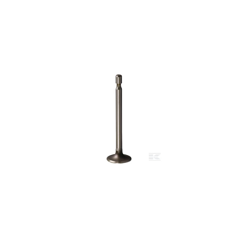Briggs & Stratton 261055S Soupape d'admission