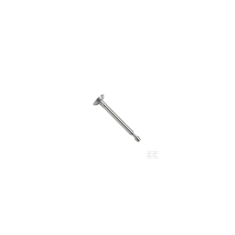 Briggs & Stratton 716080 Soupape d'admission
