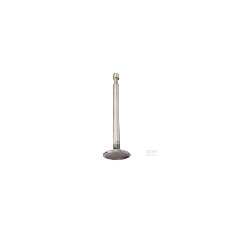Briggs & Stratton 590393 Soupape d'admission
