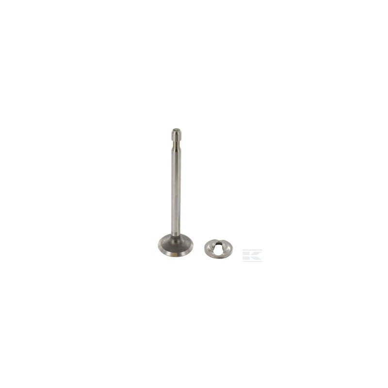 Briggs & Stratton 296677 Soupape d'admission