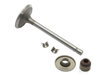 Briggs & Stratton 845712 Soupape d'admission
