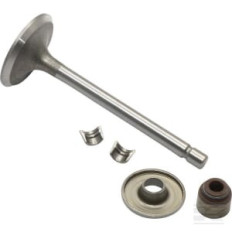 Briggs & Stratton 845712 Soupape d'admission