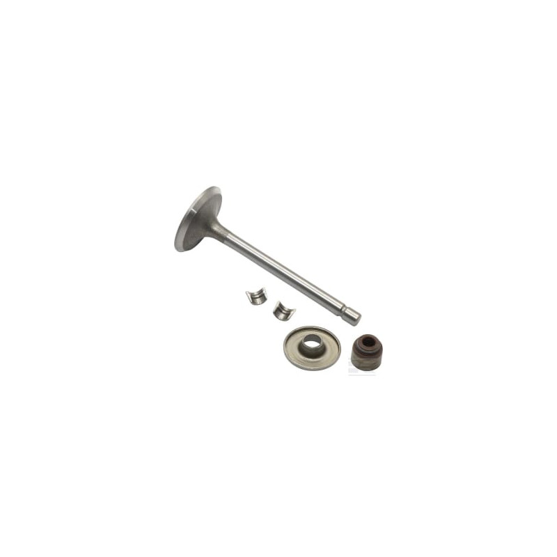 Briggs & Stratton 845712 Soupape d'admission